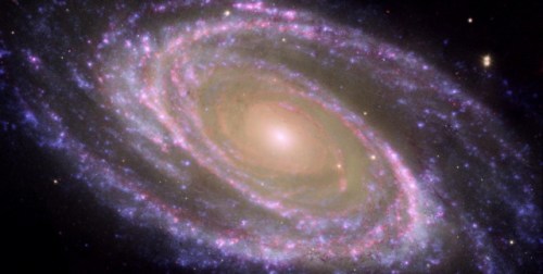 M81 Galaxy is Pretty in Pink